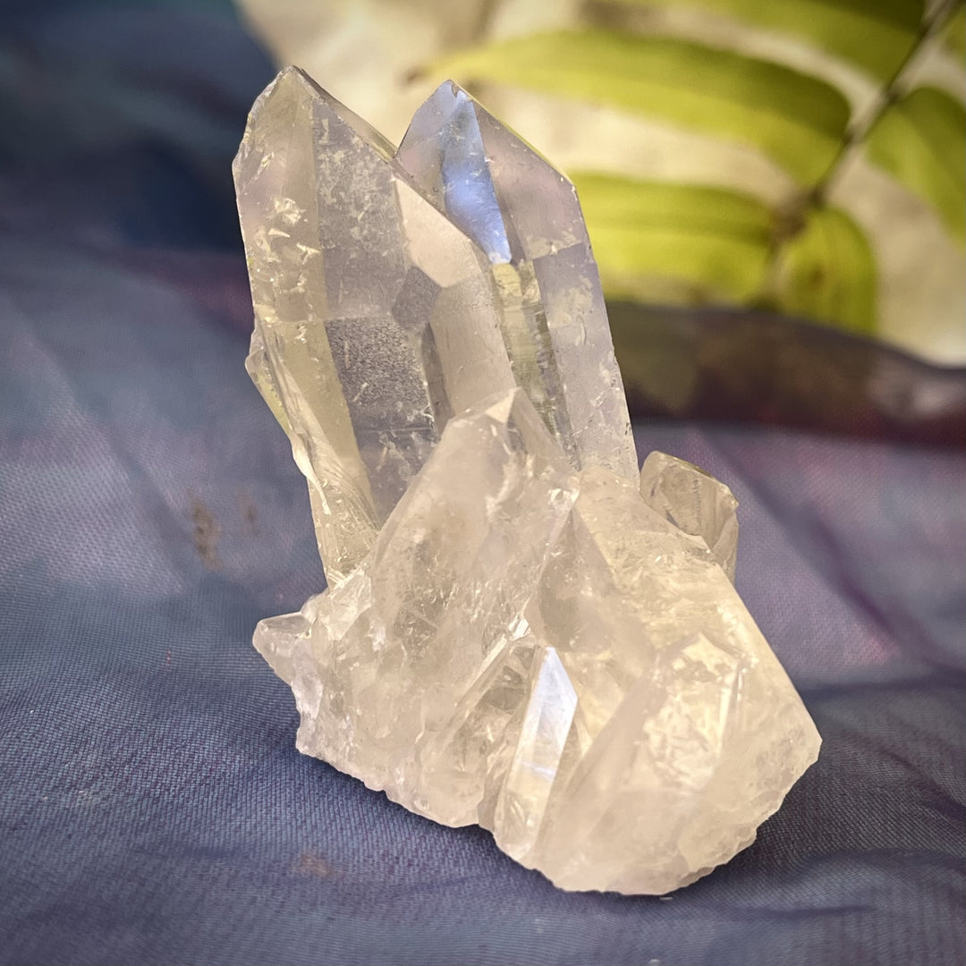 Cluster Clear Quartz Triple Point 4.9 cm