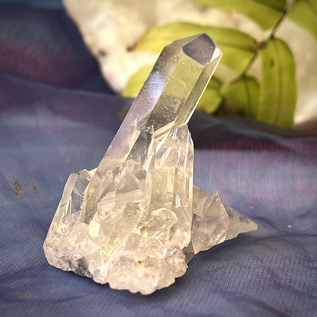 Cluster Clear Quartz Tall Point 4.5 cm