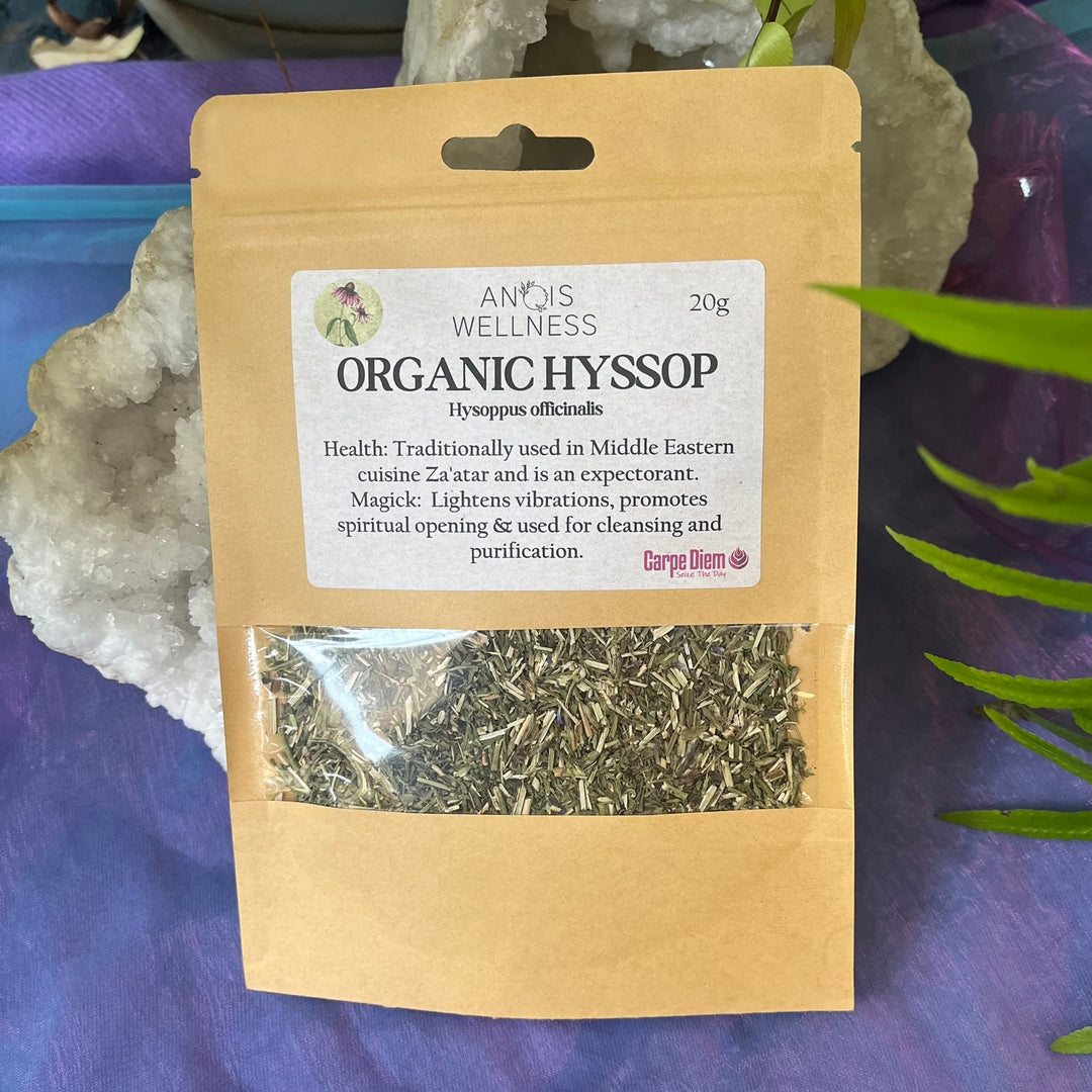 Herb Hyssop Organic 20g