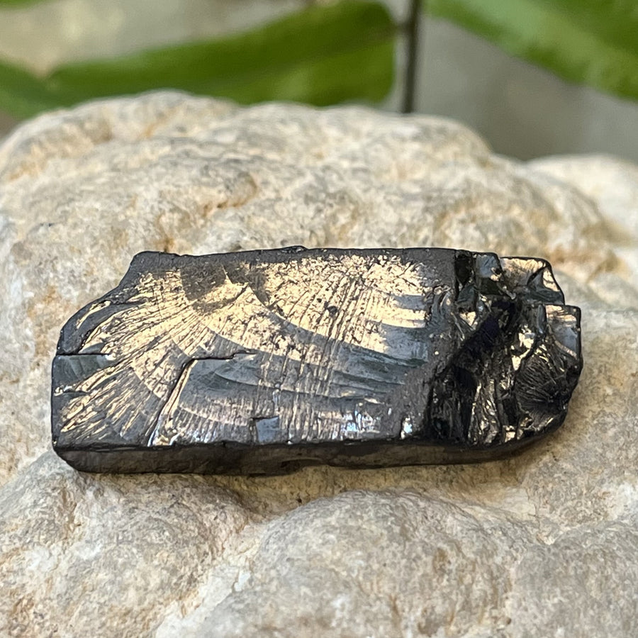 Shungite Noble Raw 4.11 cm | Carpe Diem With Remi