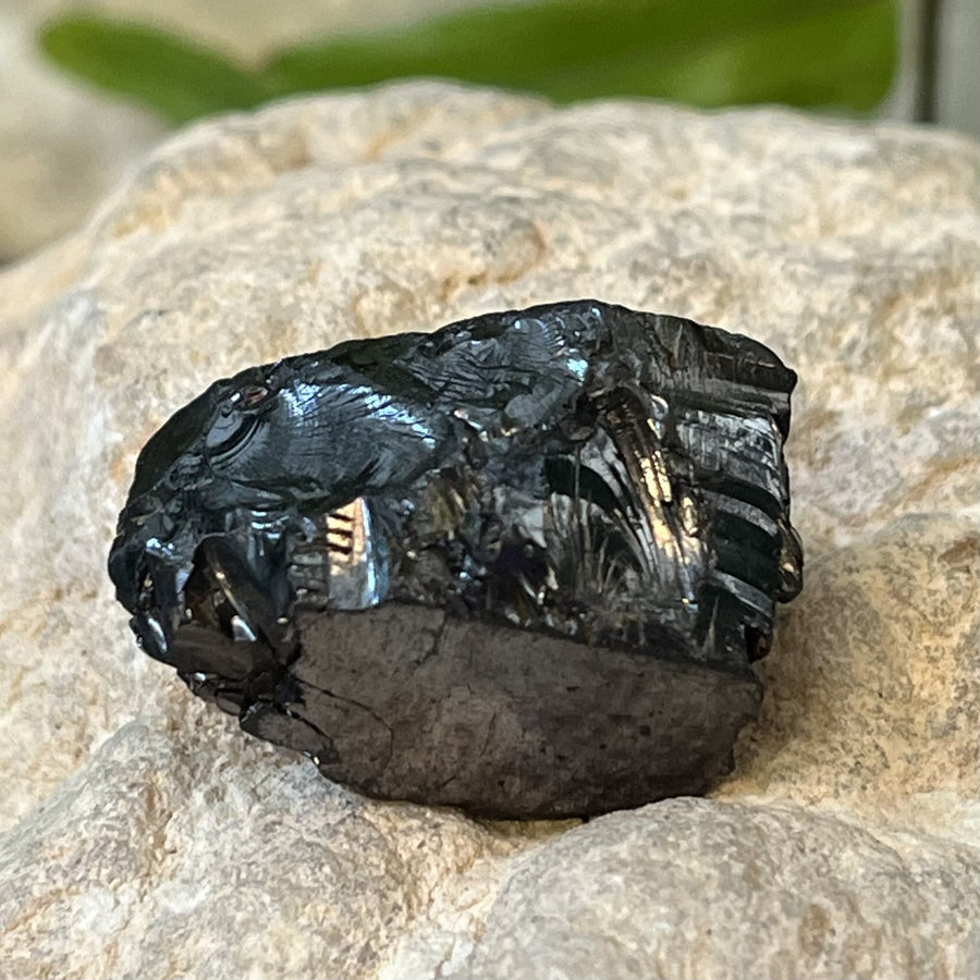 Shungite Noble Raw 2.71 cm | Carpe Diem With Remi