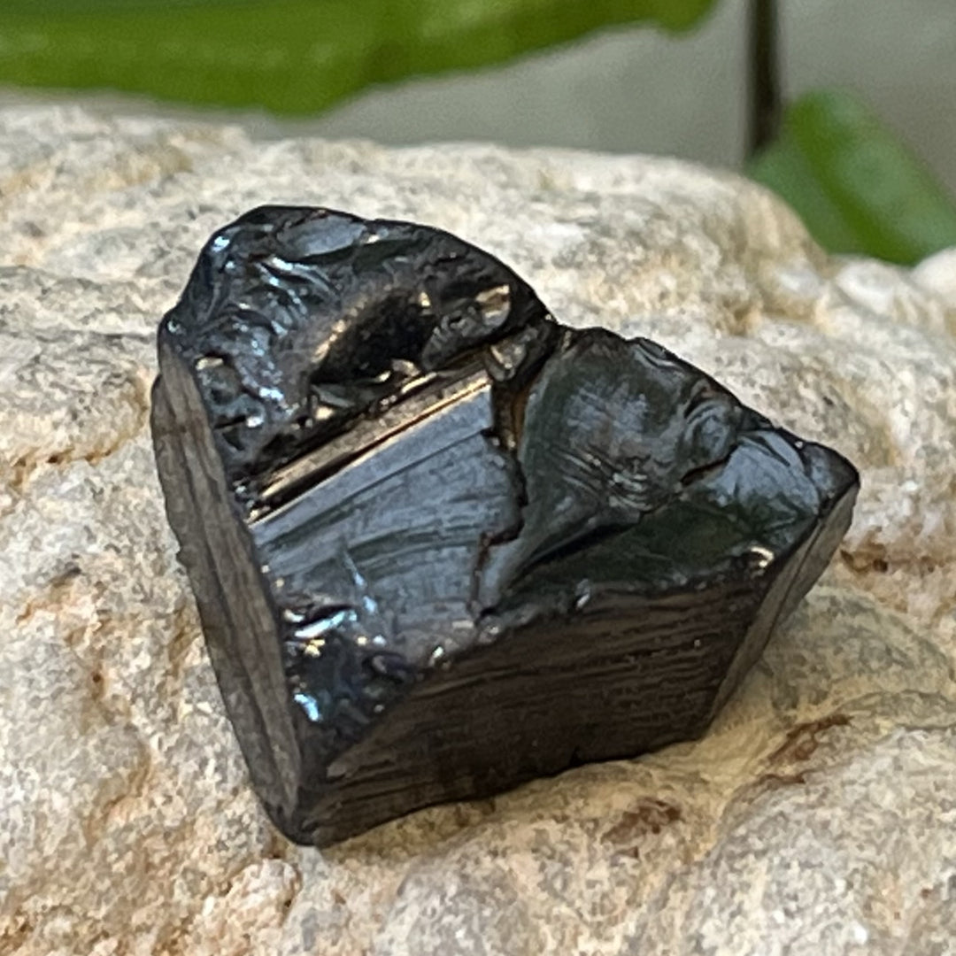 Shungite Noble Raw 2.2 cm | Carpe Diem With Remi