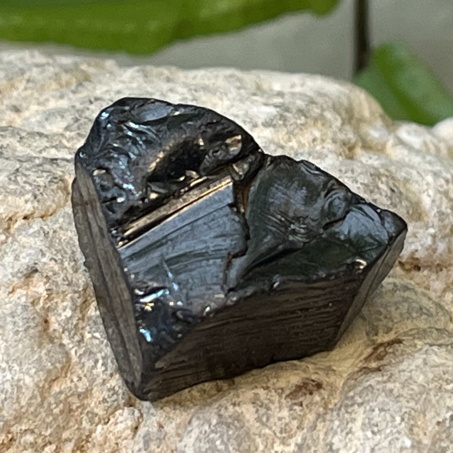 Shungite Noble Raw 2.2 cm | Carpe Diem With Remi