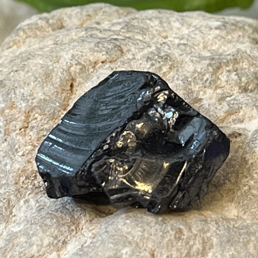 Shungite Noble Raw 2.50 cm | Carpe Diem With Remi