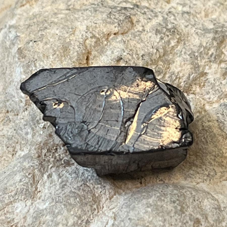 Shungite Noble Raw 3 cm | Carpe Diem With Remi