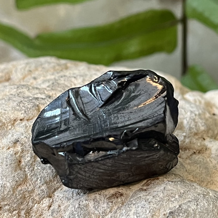 Shungite Noble Raw 2.80 cm | Carpe Diem With Remi