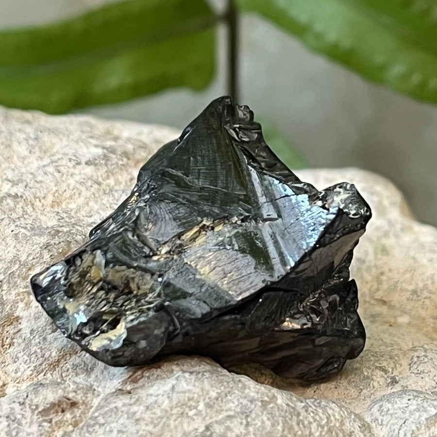 Shungite Noble Raw 2.8 cm | Carpe Diem With Remi