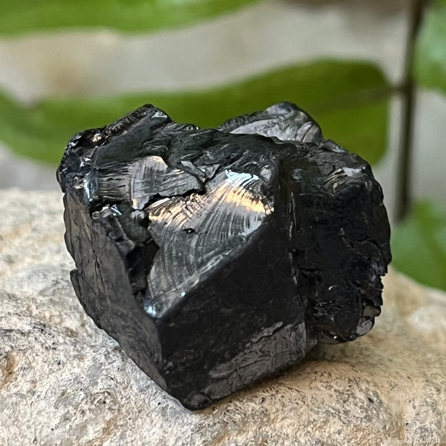 Shungite Noble Raw 2.3cm | Carpe Diem With Remi