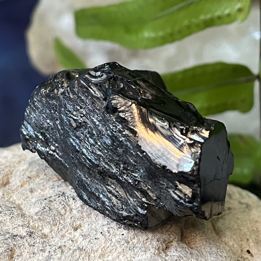 Shungite Noble Raw 4.31 cm | Carpe Diem With Remi