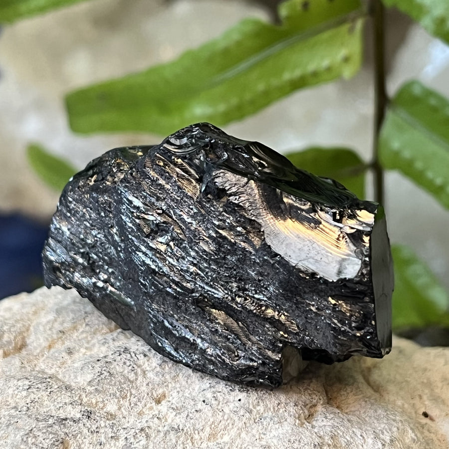 Shungite Noble Raw 5.6 cm | Carpe Diem With Remi
