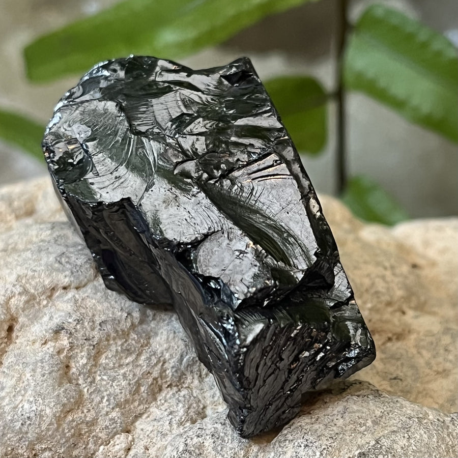 Shungite Noble Raw 4.5 cm | Carpe Diem With Remi