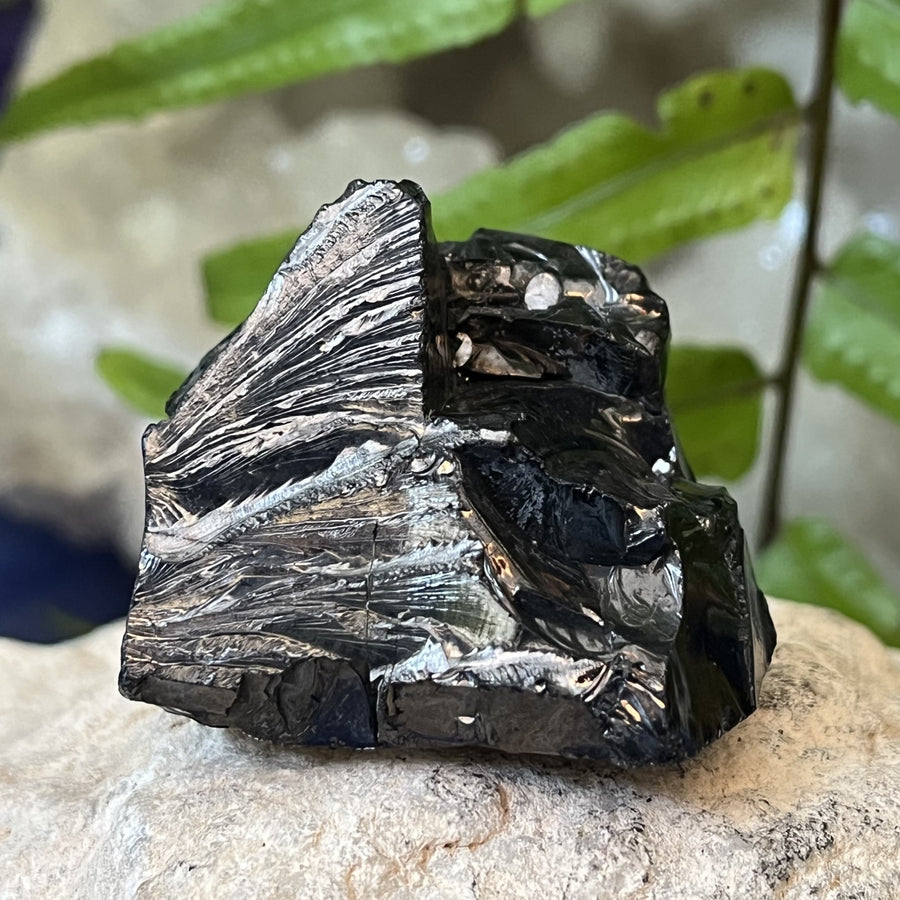 Shungite Noble Raw 4.1 cm | Carpe Diem With Remi