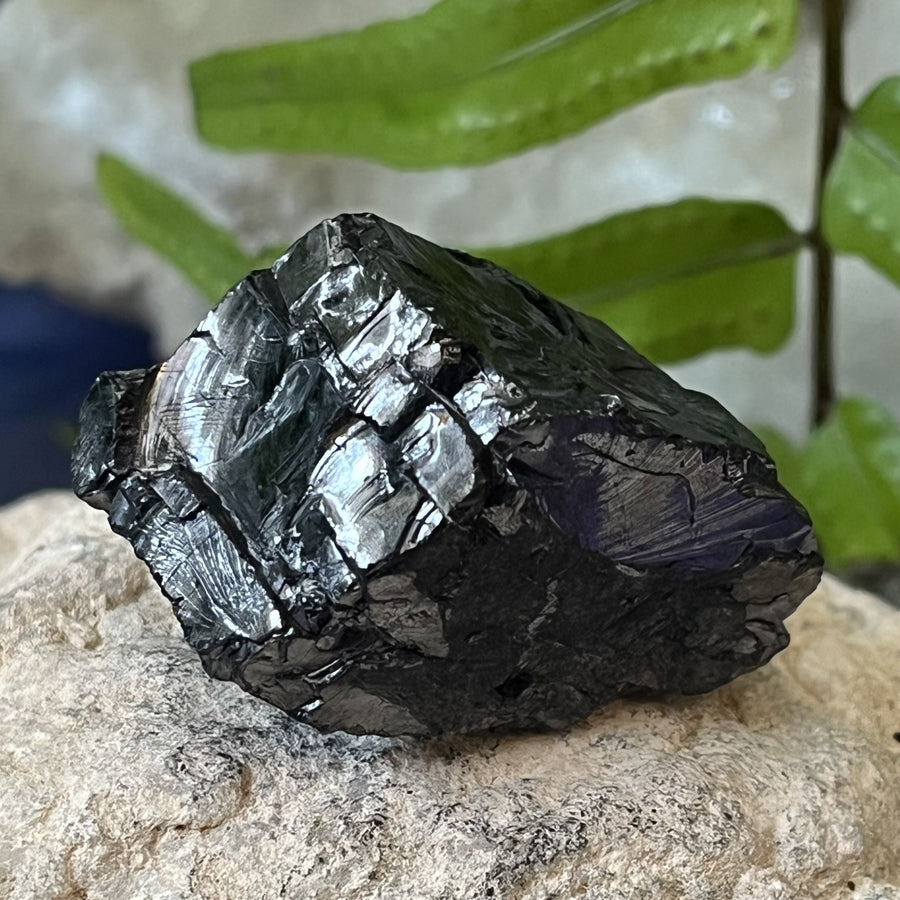 Shungite Noble Raw 4.0 cm | Carpe Diem With Remi