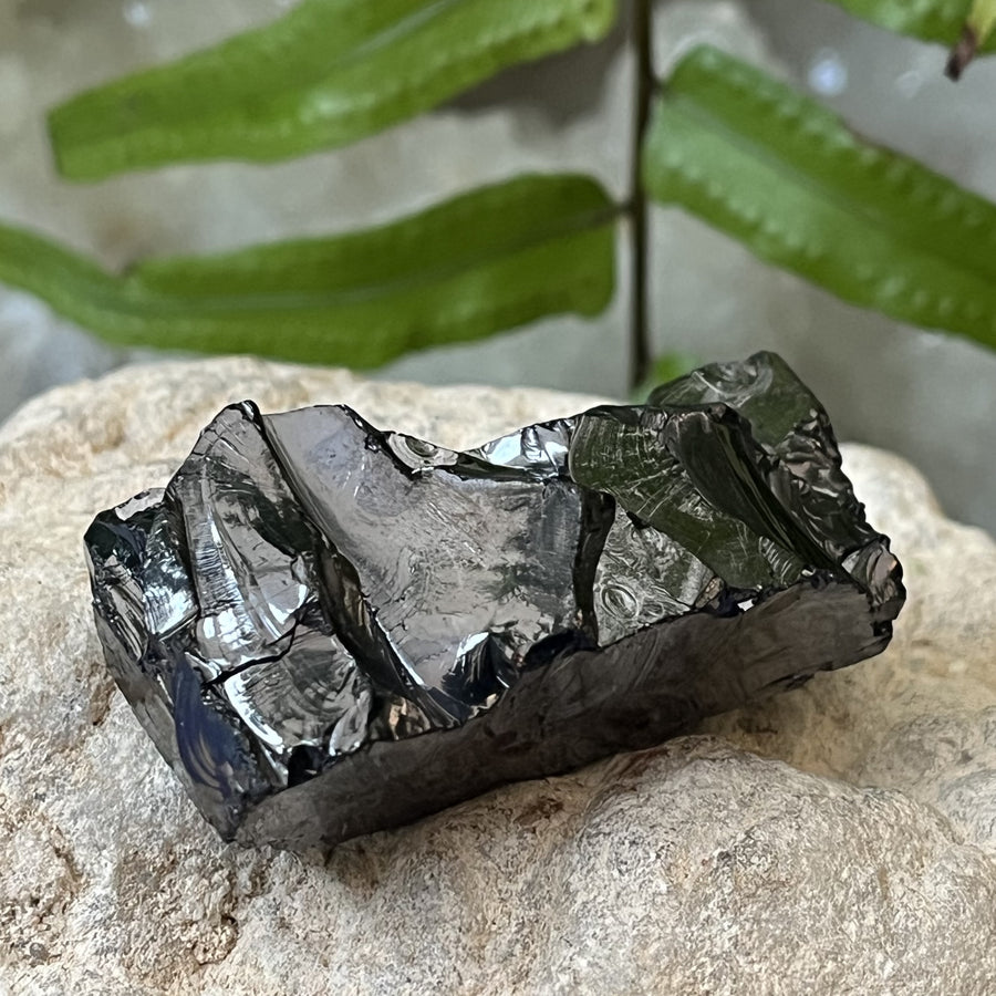 Shungite Noble Raw 5.0 cm | Carpe Diem With Remi