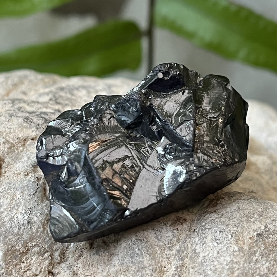 Shungite Noble Raw 3.6 cm | Carpe Diem With Remi