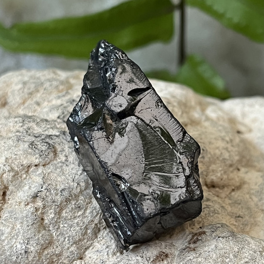 Shungite Noble Raw 3.5 cm | Carpe Diem With Remi
