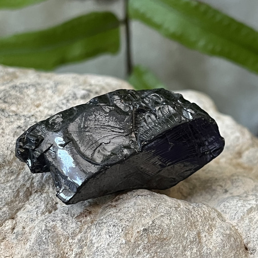 Shungite Noble Raw 3.1 cm | Carpe Diem With Remi