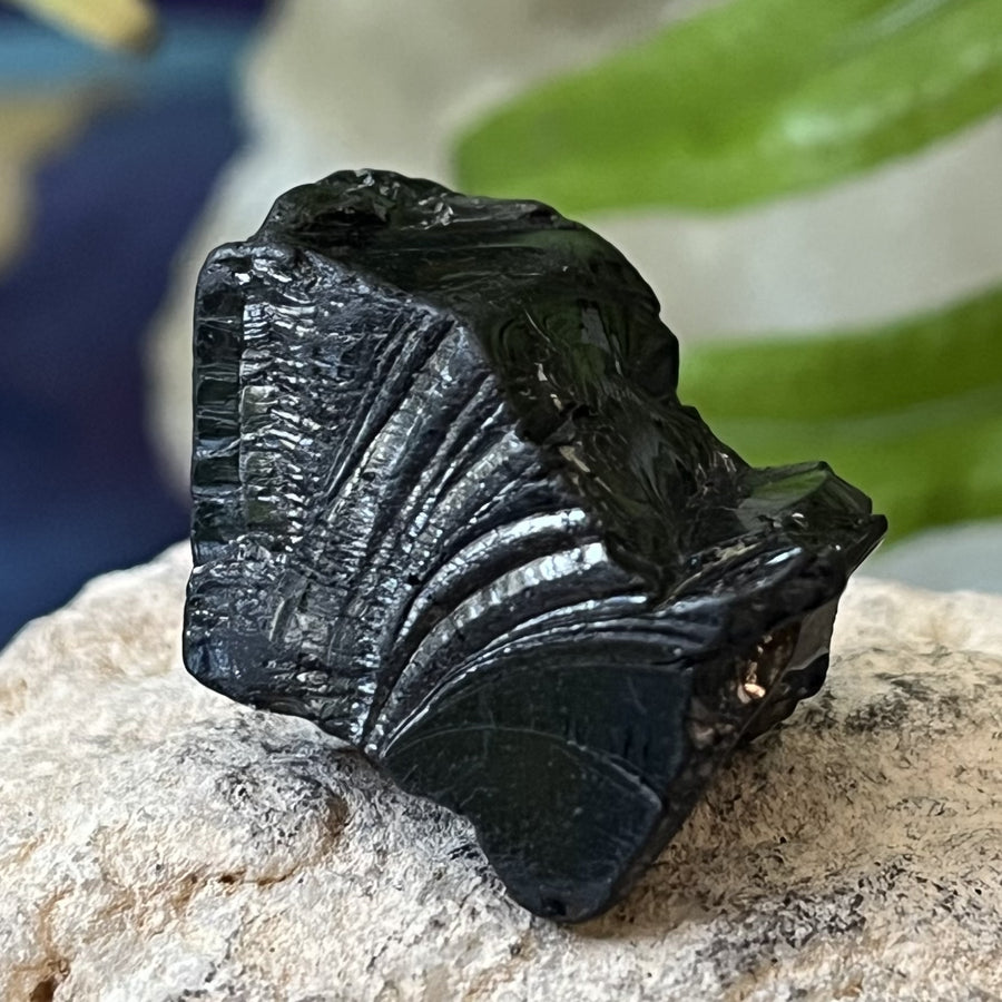 Shungite Noble Raw 2.5 cm | Carpe Diem With Remi