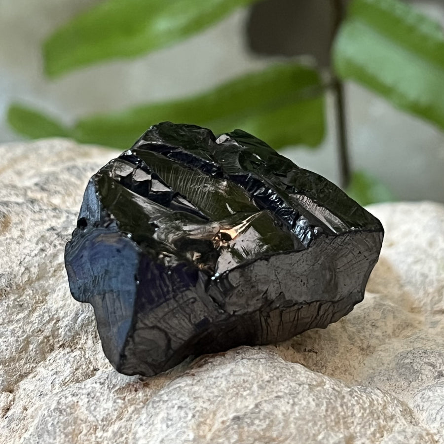 Shungite Noble Raw 2.70 cm | Carpe Diem With Remi