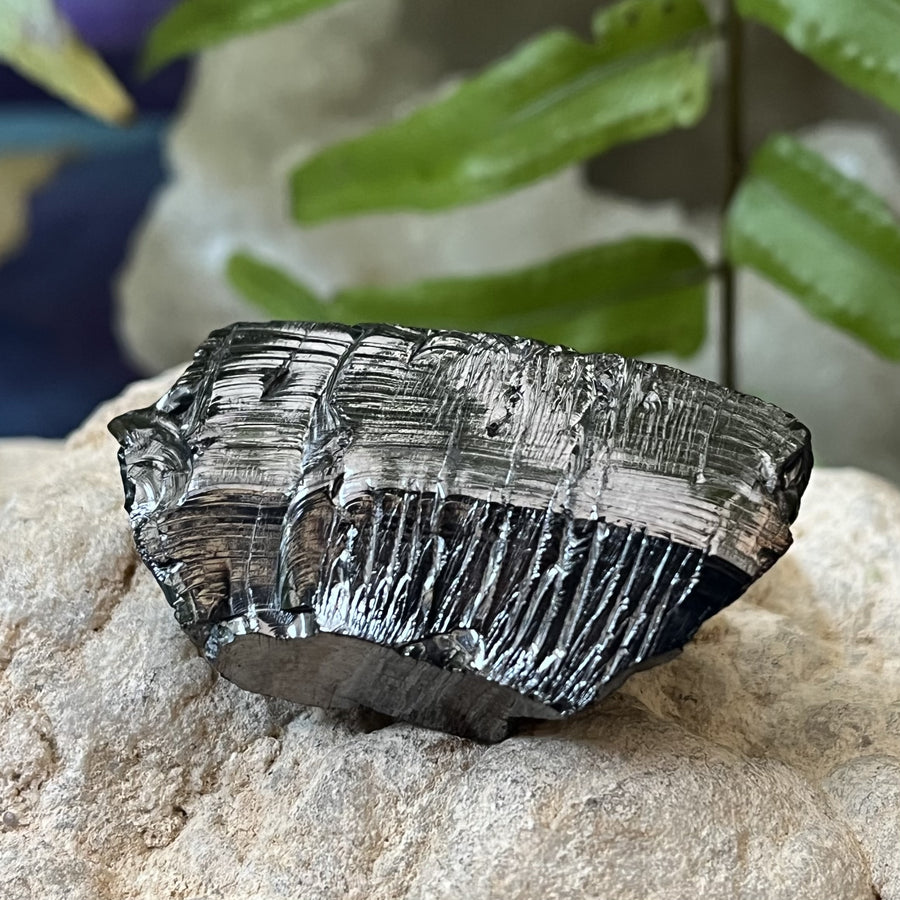Shungite Noble Raw 4.90 cm | Carpe Diem With Remi