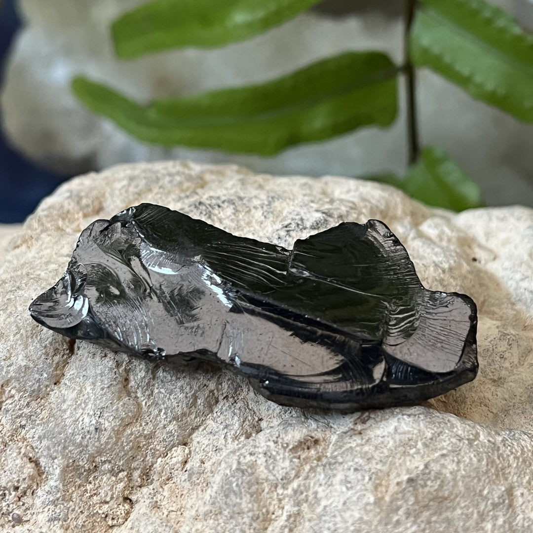 Shungite Noble Raw 4.51 cm | Carpe Diem WIth Remi
