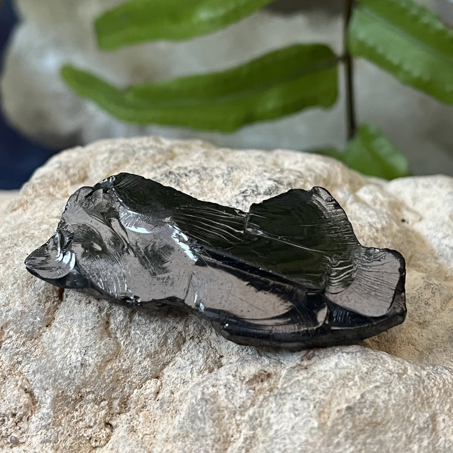 Shungite Noble Raw 4.51 cm | Carpe Diem WIth Remi