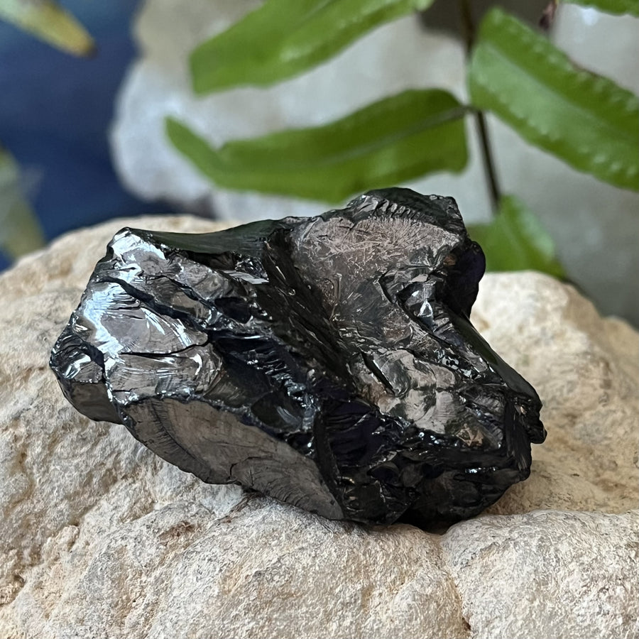 Shungite Noble Raw 4.9 cm | Carpe Diem With Remi