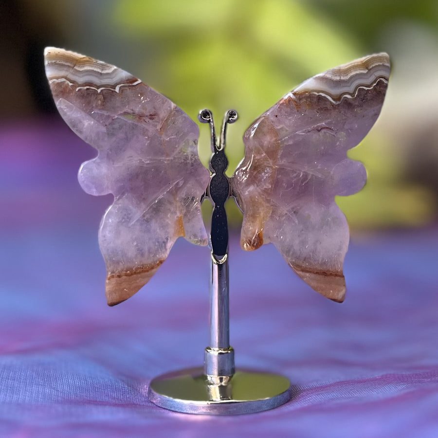 Butterfly Amethyst Crazy Lace on Stand Mini | Carpe Diem With Remi