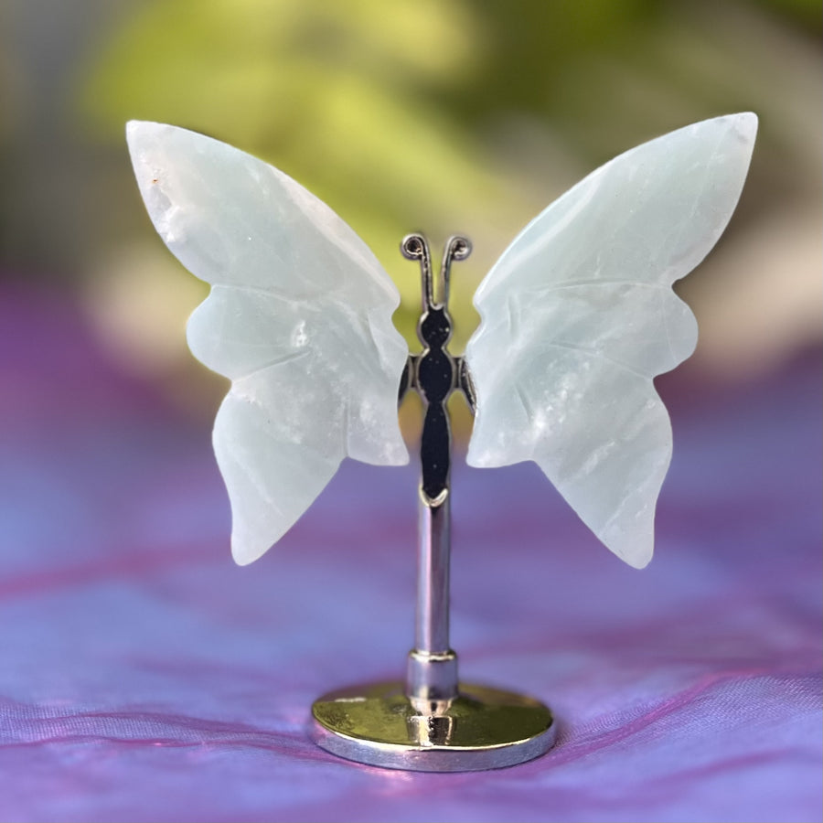 Butterfly Amazonite on Stand Mini | Carpe Diem With Remi
