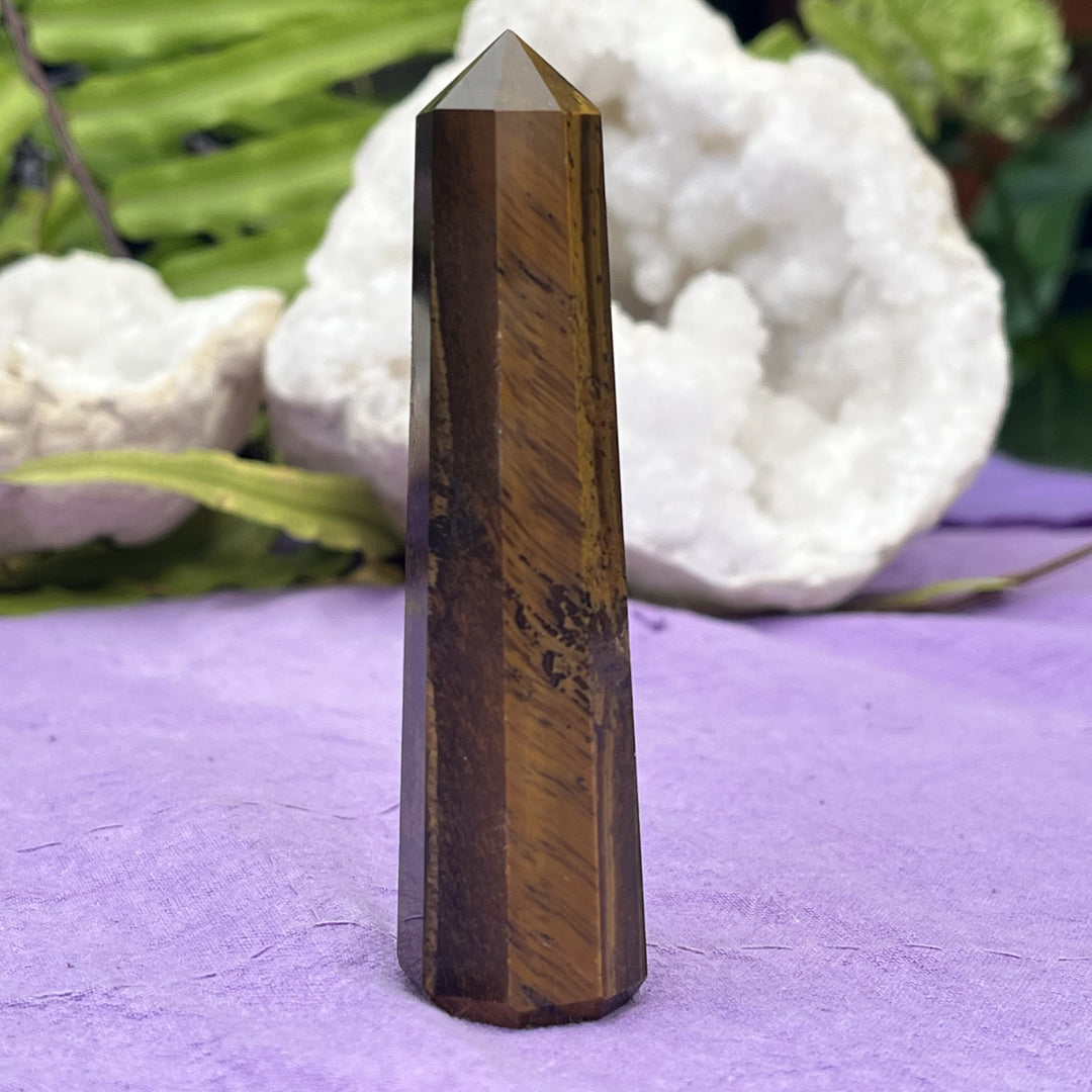 Point Tiger Eye Gold 10.2 cm