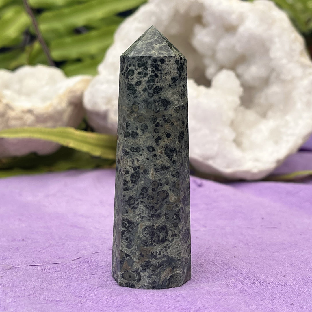 Point Jasper Kambaba 8.8 cm