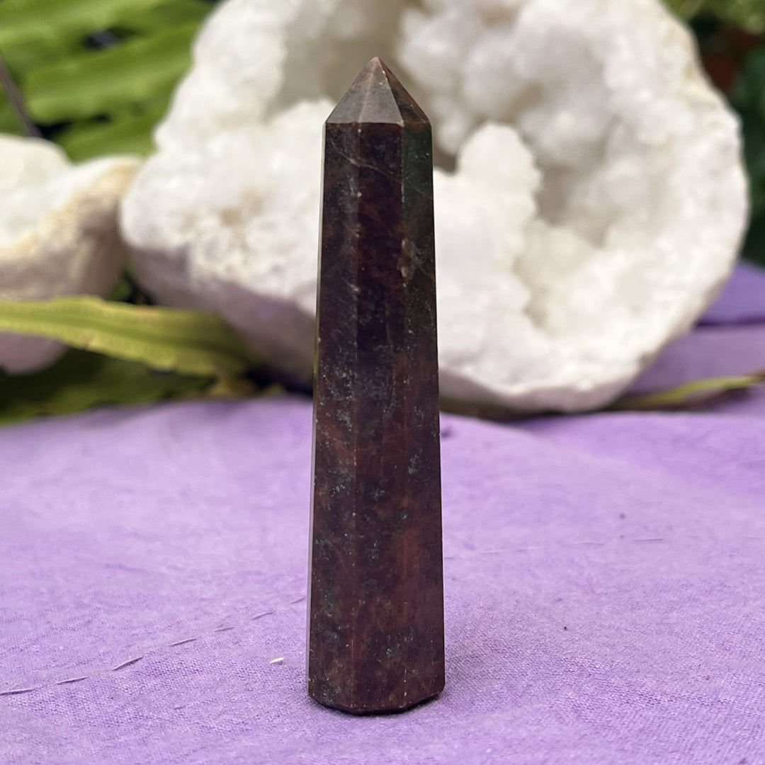 Point Garnet 8.1 cm