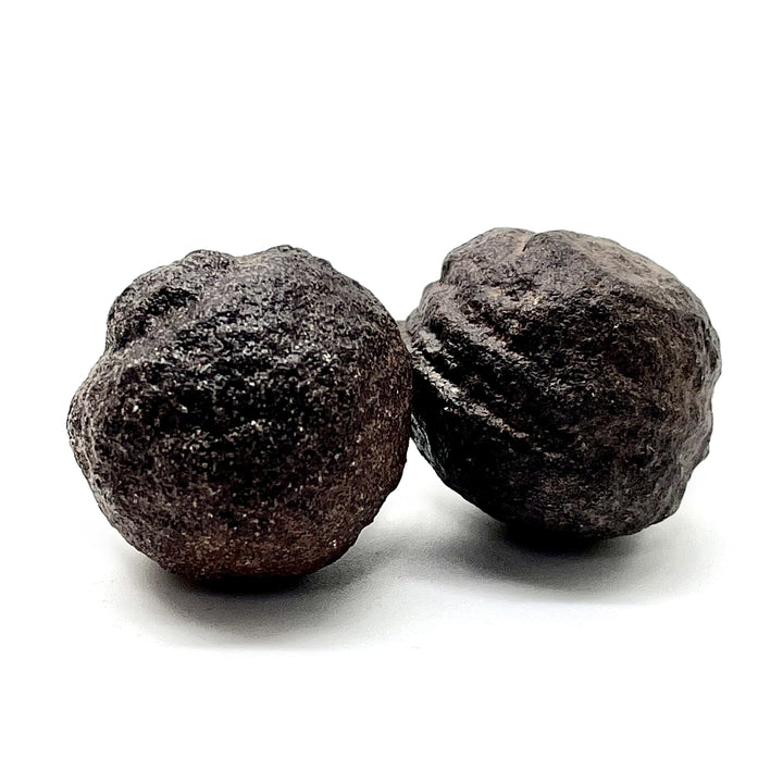 Mocqui Ball Pair | Carpe Diem WIth Remi