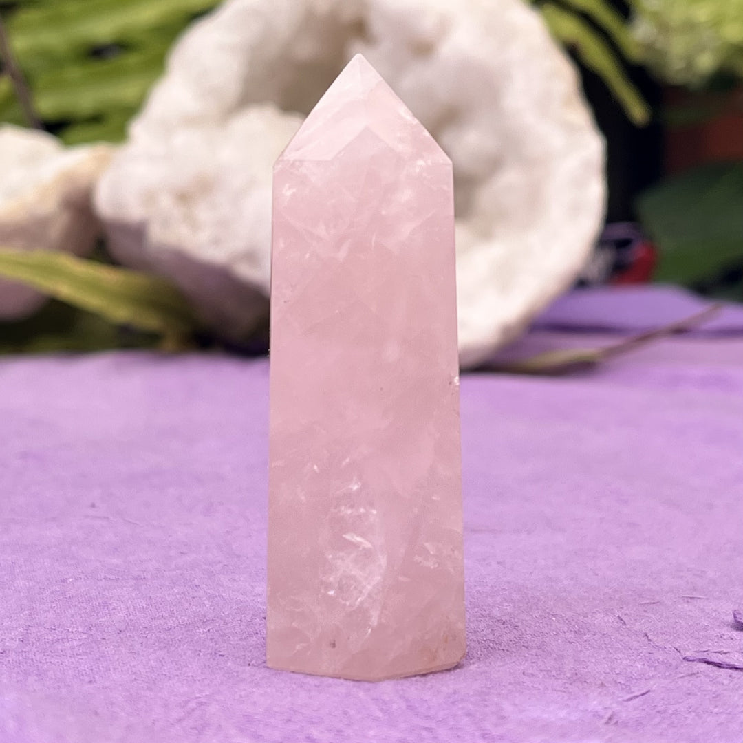 Point Rose Quartz 7.1 cm
