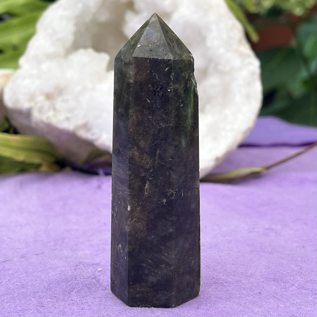 Point Labradorite 9.0 cm