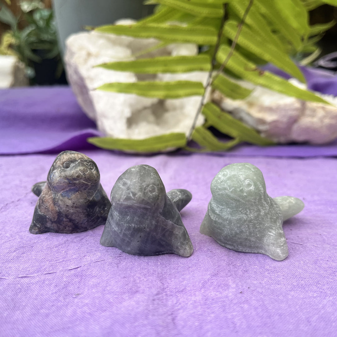 Seal Assorted Crystal