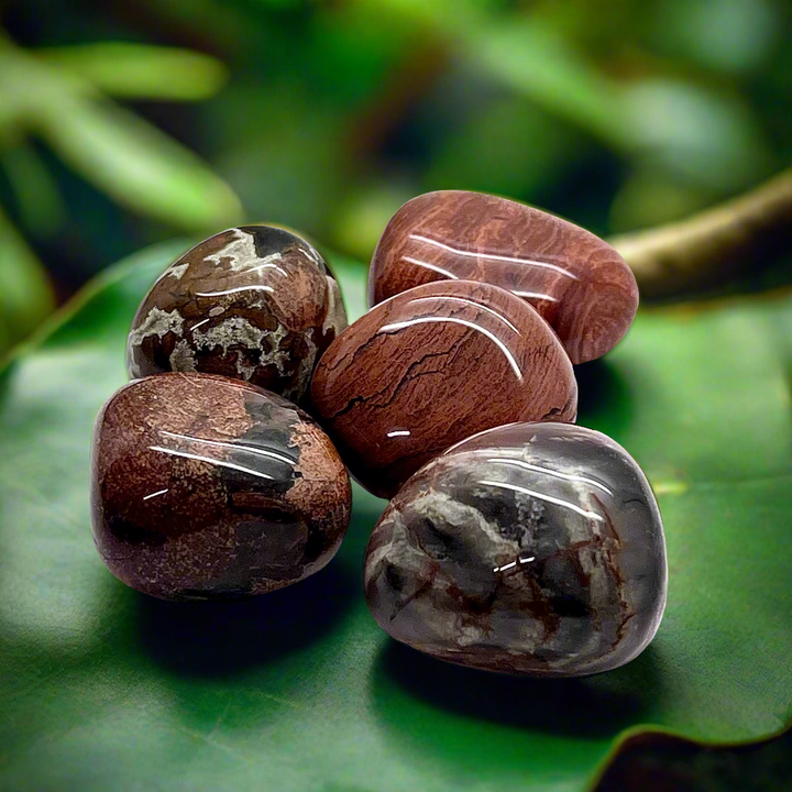Jasper Brown Spider Web Tumble