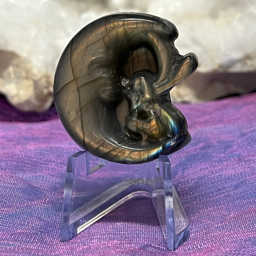 Labradorite Minatures | Carpe Diem With Remi
