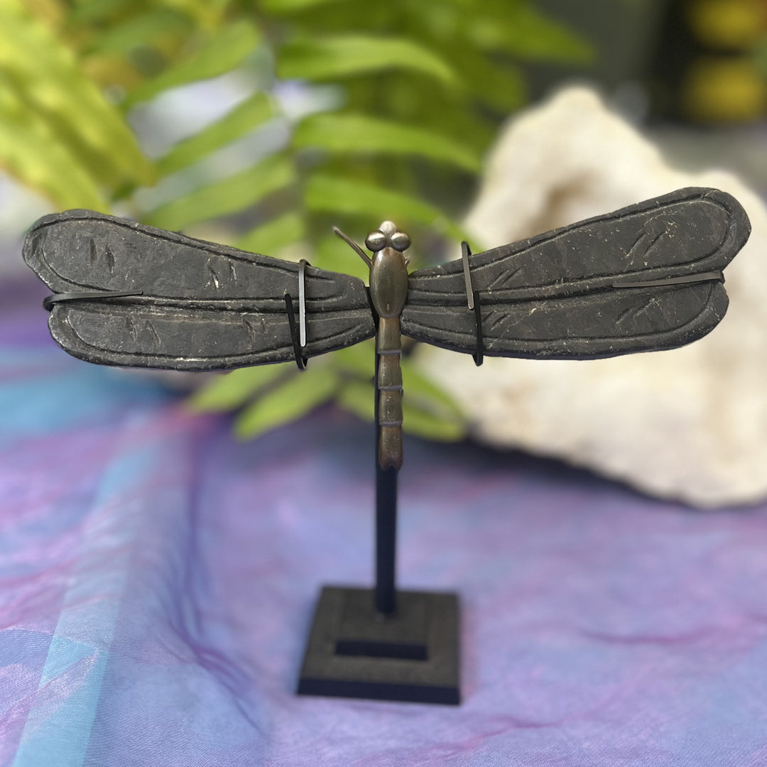 Dragonfly Wings Black Jade 8.3 cm