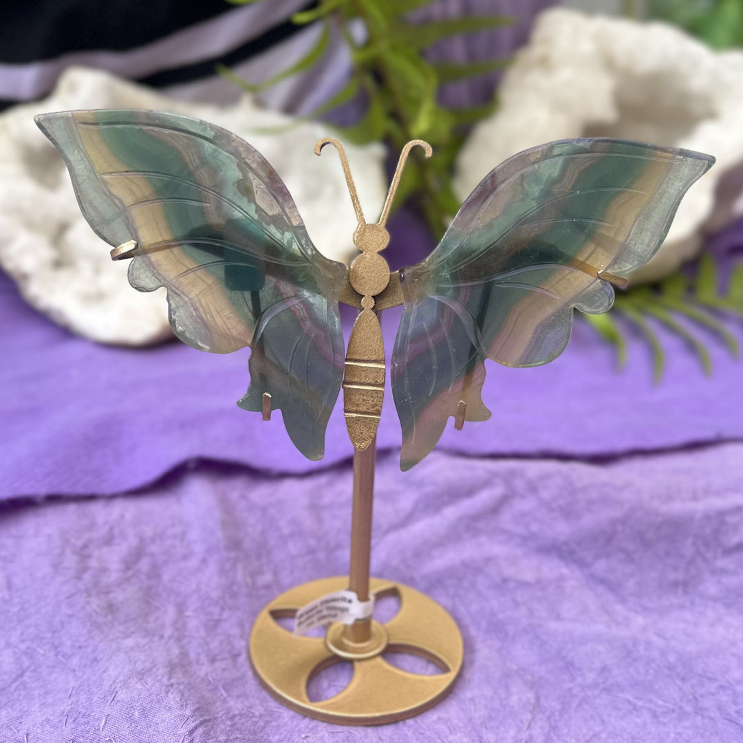 Butterfly Wings Green Fluorite on Stand