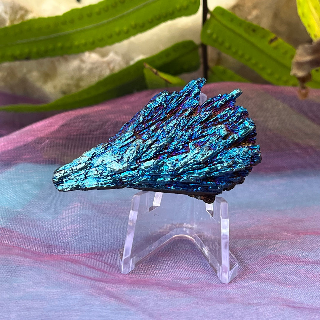 Kyanite Rainbow Titanium Pieces | Carpe Diem With Remi