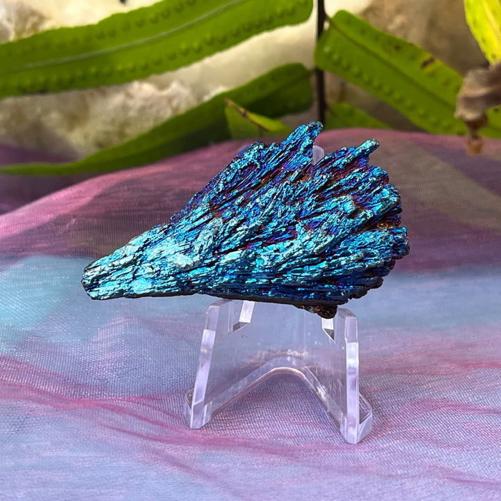 Kyanite Rainbow Titanium Pieces | Carpe Diem With Remi