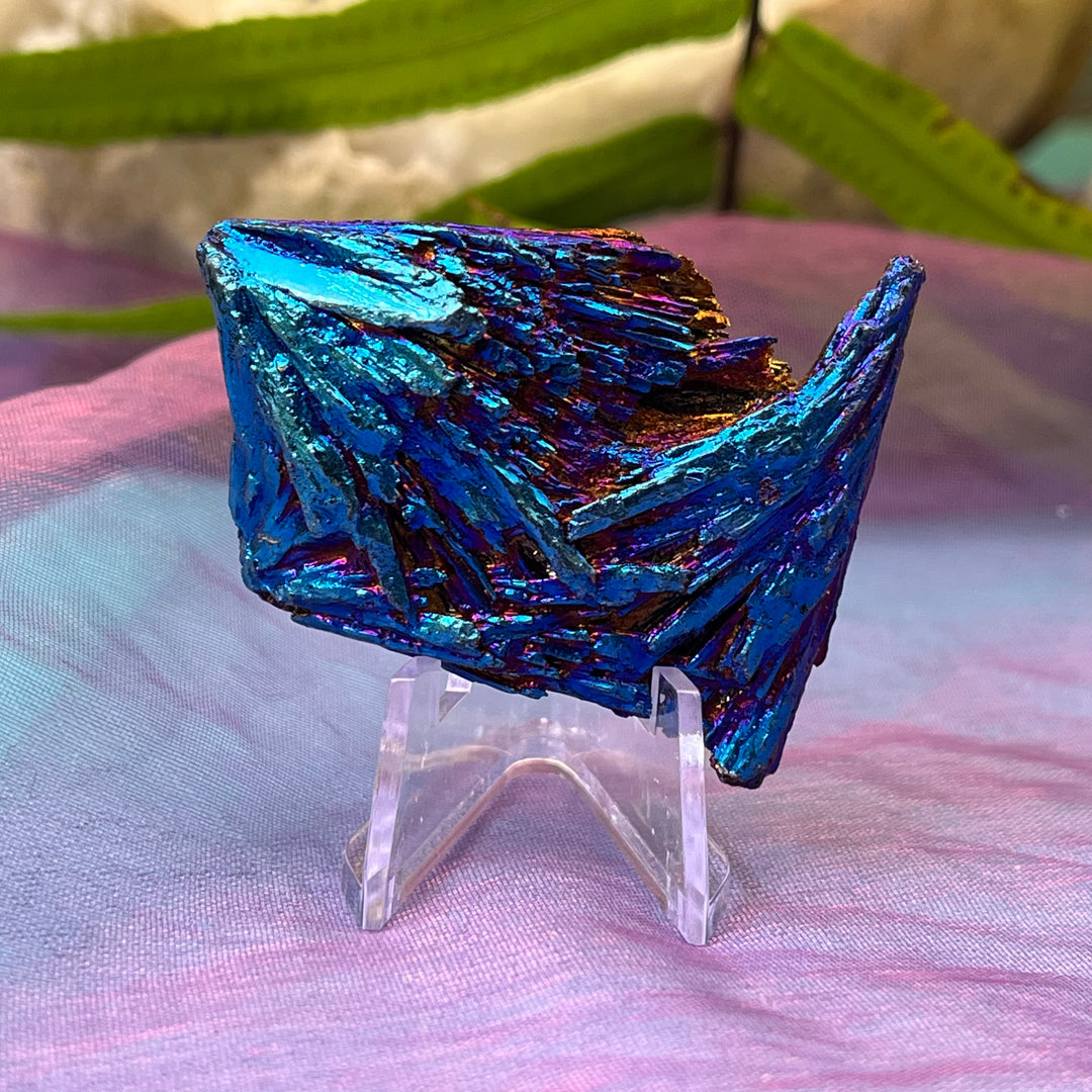 Kyanite Rainbow Titanium Pieces | Carpe Diem With Remi