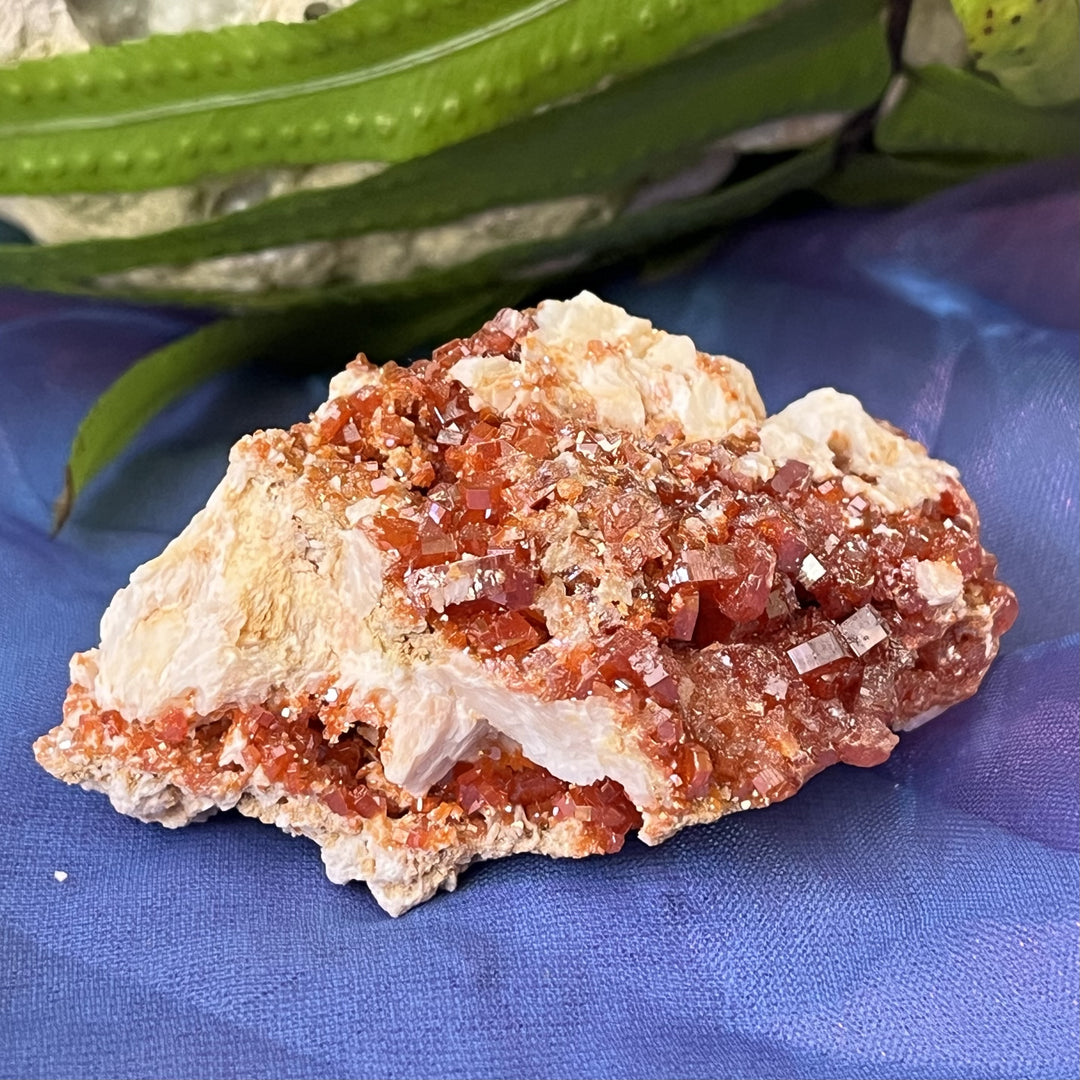 Vanadinite Cluster 6.5 cm