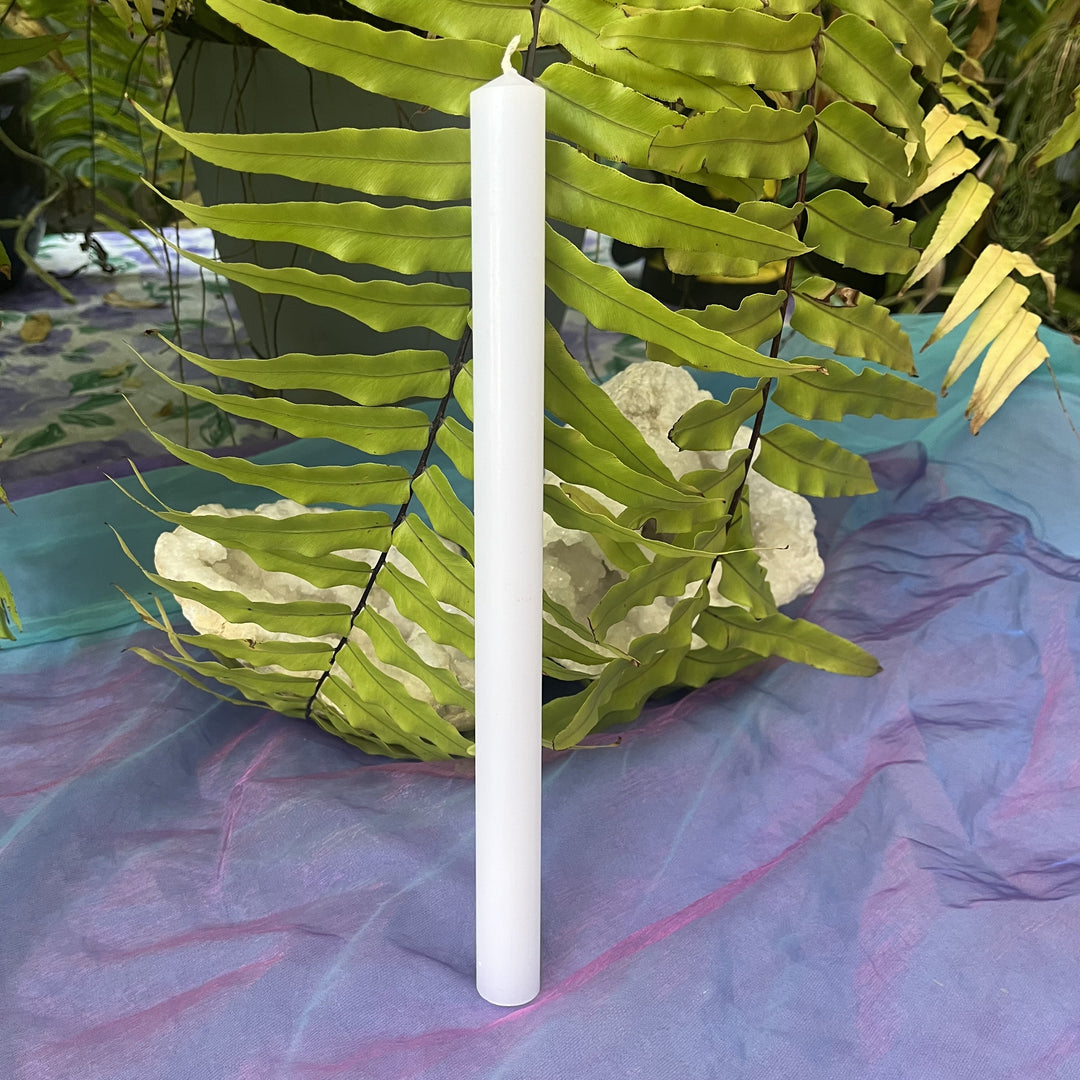 Candle Tall Taper White 12 Inch - Instore Only