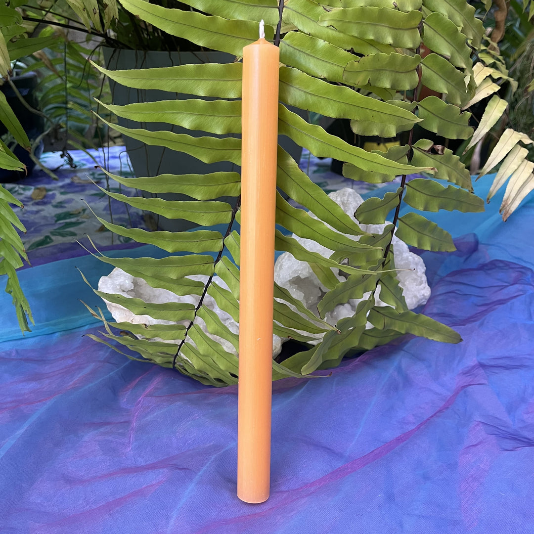 Candle Tall Taper Orange 12 Inch - Instore Only