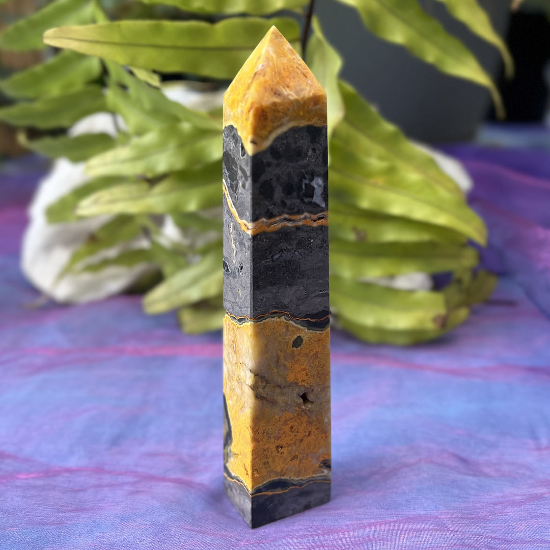 Tower Bumblebee Jasper