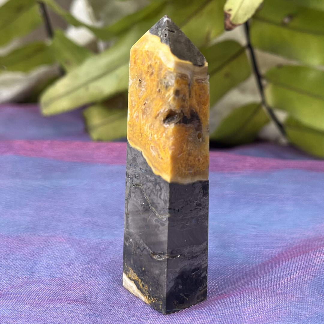 Tower Bumblebee Jasper Baby