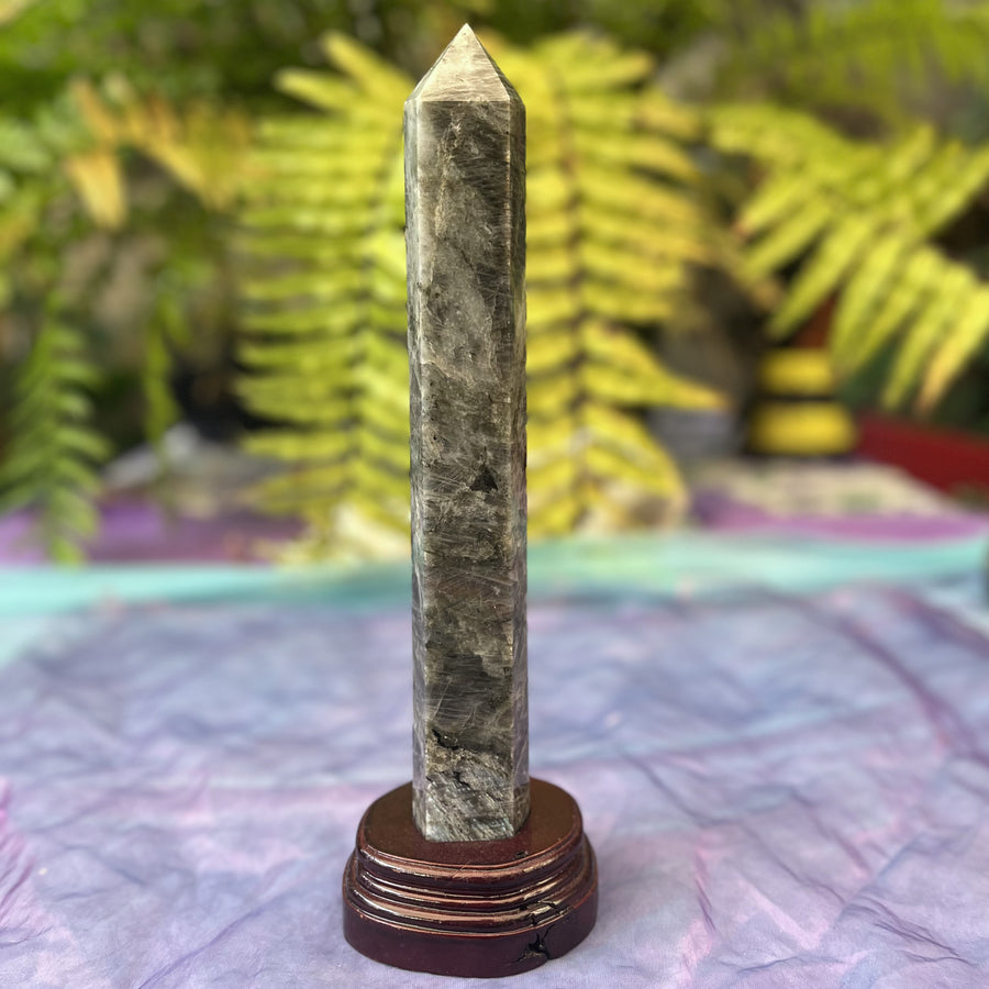 Tower Labradorite on Stand | Carpe Diem with Remi