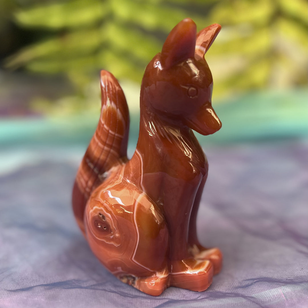 Fox Red Sardonyx 12.8 cm | Carpe Diem with Remi